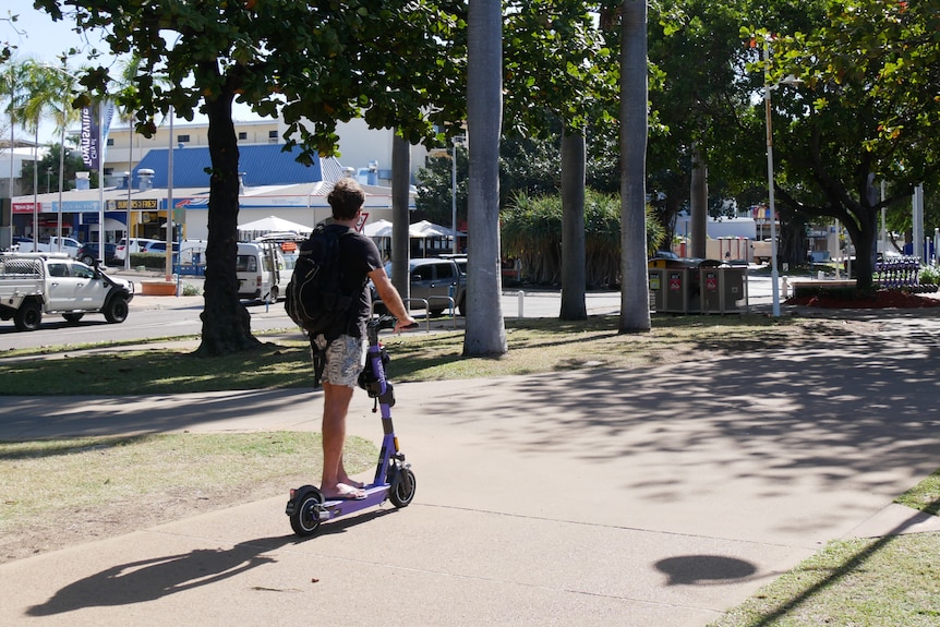 Man rides e-scooter down a tree-lined street.