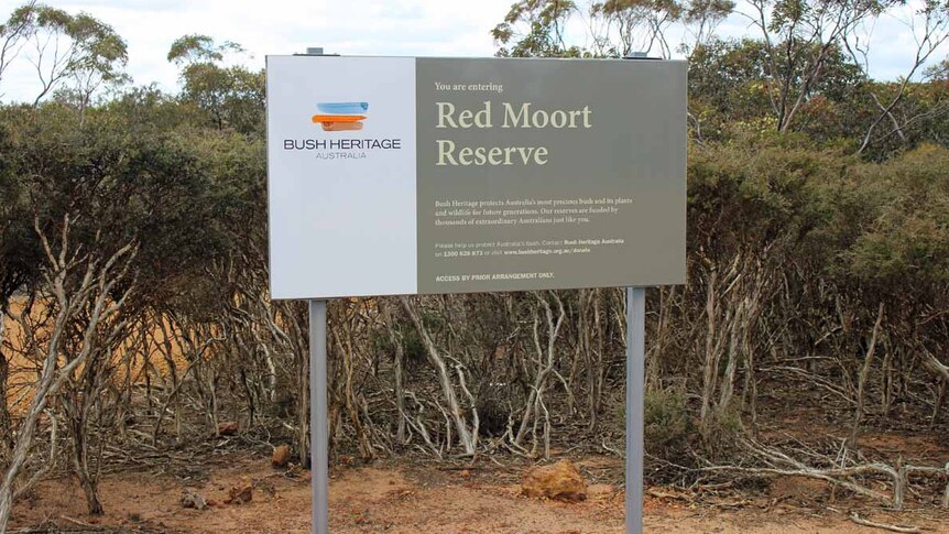 Red Moort Reserve