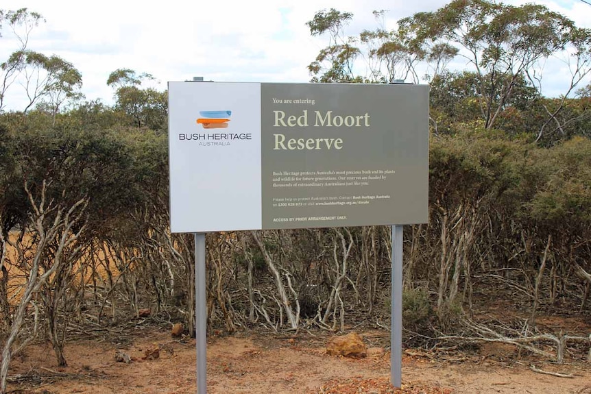 Red Moort Reserve