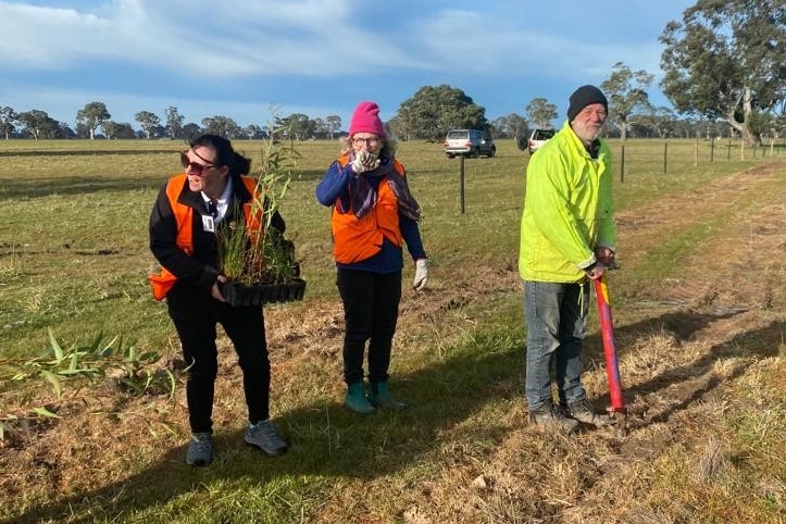 Three people in fluro vests, one holding a tree, stand in a flat paddock.