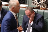 Barnaby Joyce clutches his hand to his face, looking down into his lap. Malcolm Turnbull is out of focus in the foreground.