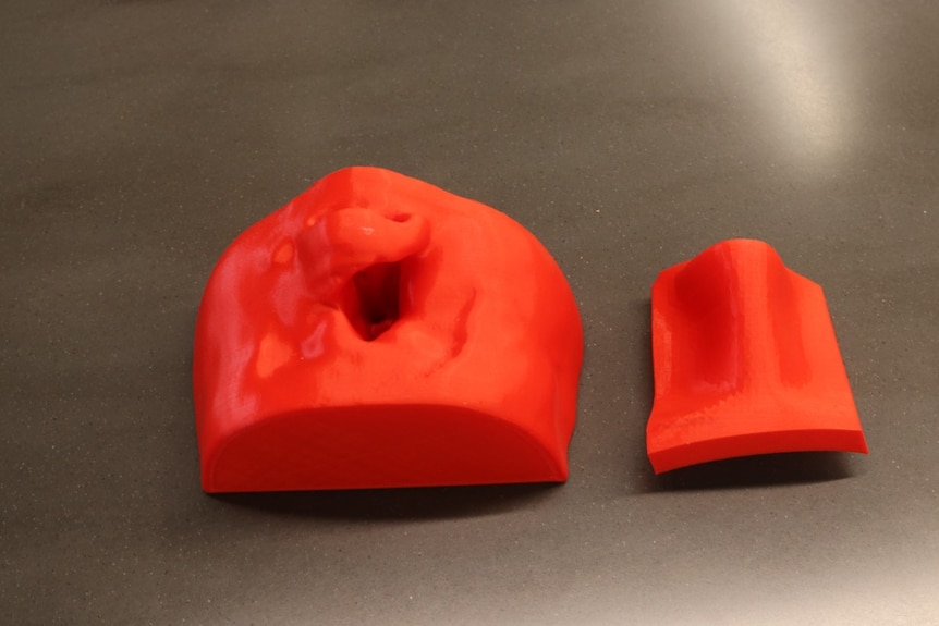 3d printed mould of a nose