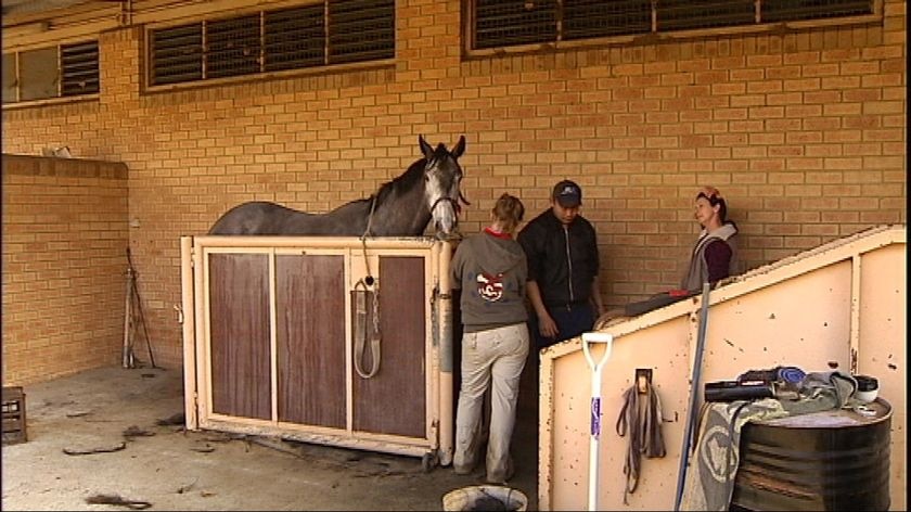 Horse racing resumes in Perth today. (File photo)