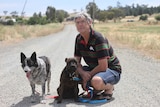 A man kneels on a gravel road holding two dogs on leashes.