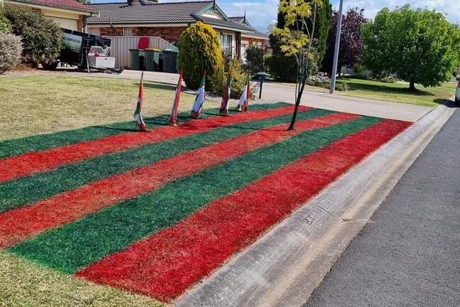 A front lawn painted in red and green stripes