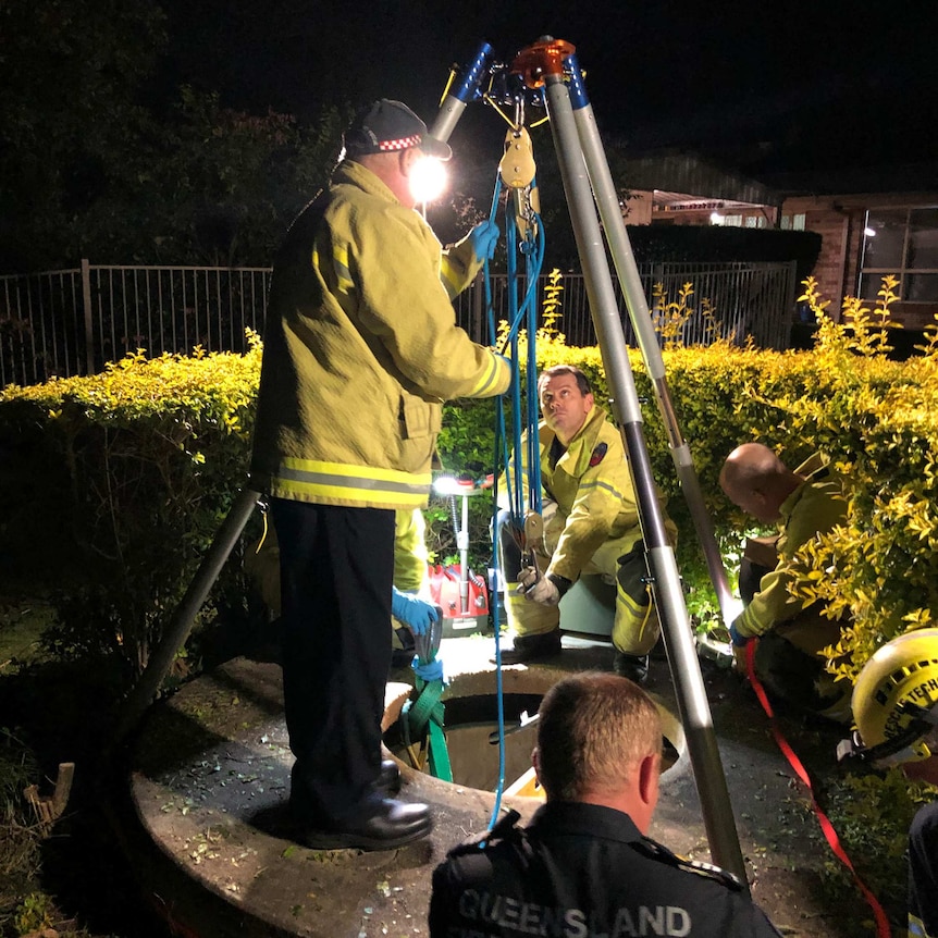 Firefighters use a tripod apparatus to winch a miniature donkey out of a septic tank.