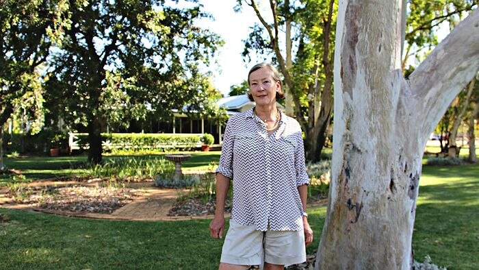 Joceyln Chandler stands next to a tree she planted in the early 1980s.