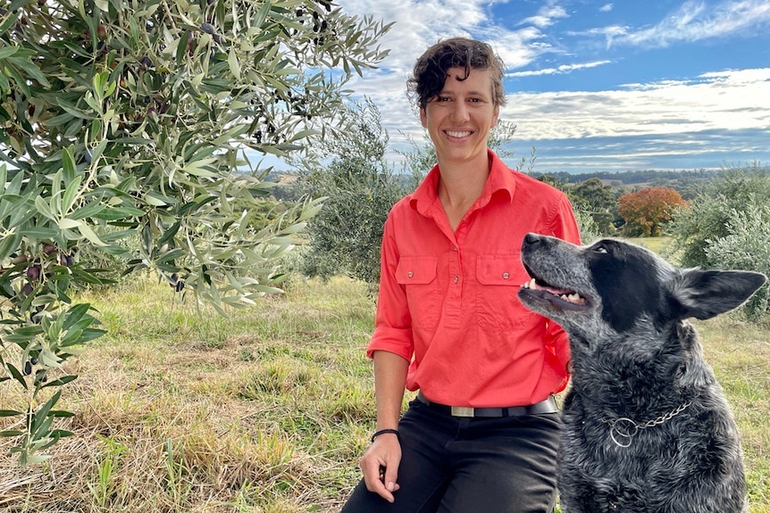 A woman crouched next to an olive tree with a blue healer by her side 