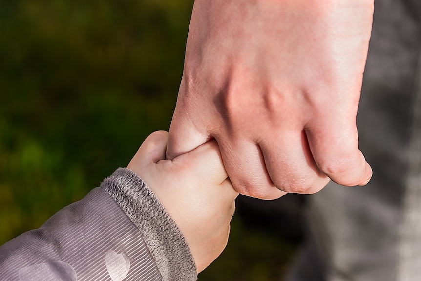 Child's hand clasping adult male finger, close up.