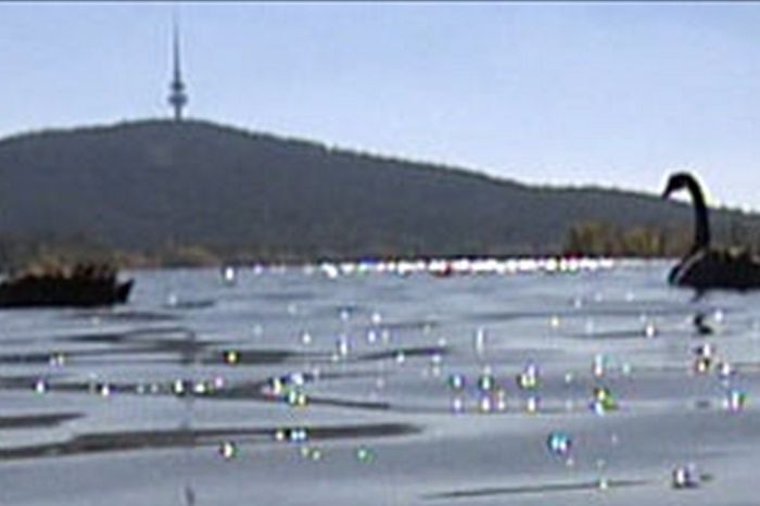 Regular blue-green algal blooms have forced closures at Lake Burley Griffin.