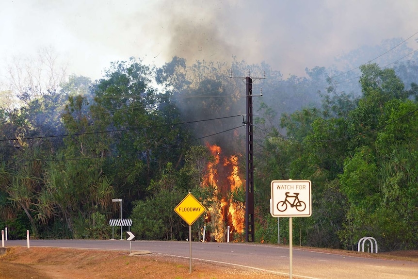 A wall of flame is seen off the side of a road near powerlines in Darwin's rural area.