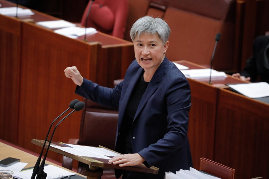 Penny Wong slams the Greens in the parliament 
