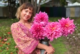 A woman in a beautiful floral shirt holds four huge pink dahlia blooms.