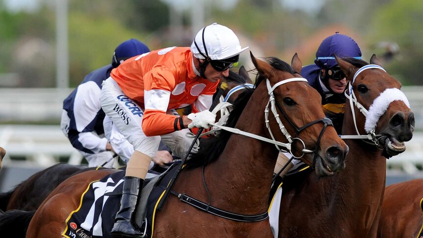 Melbourne Cup contender Who Shot Thebarman