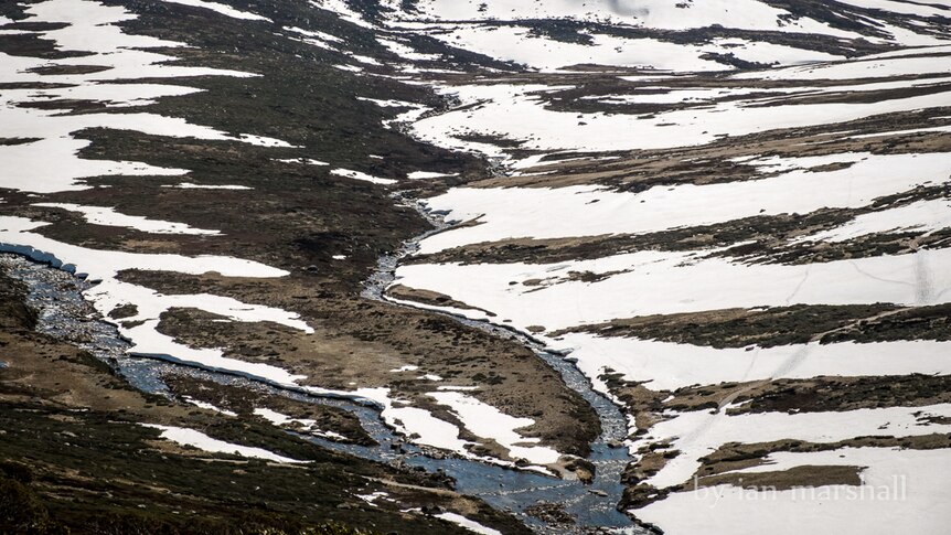 Snowy River at Charlotte Pass.