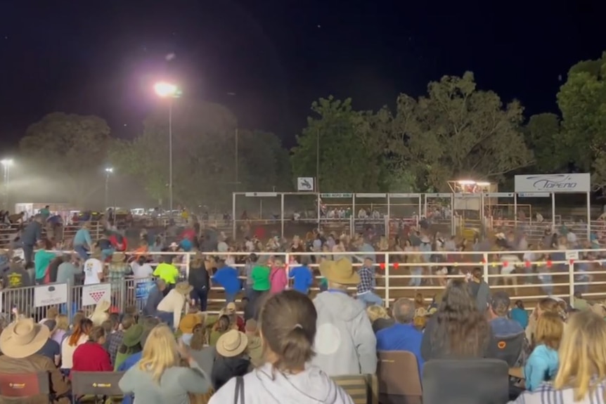 A photo of the crowd at the Kununurra rodeo.