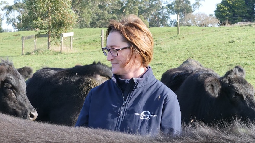 A woman stand surrounded by black cattle, with lush green pastures in the background.