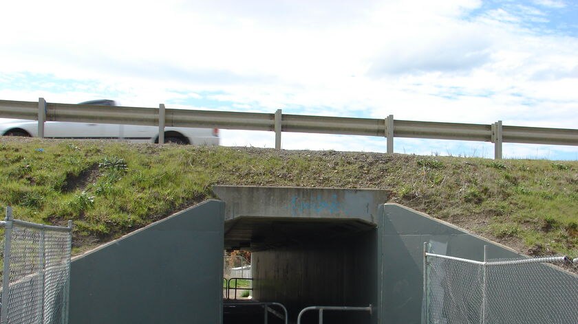 underpass where seriously injured man was found in Hobart's nthn suburbs