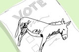 A graphic of a cartoon donkey drawn on a ballot paper.