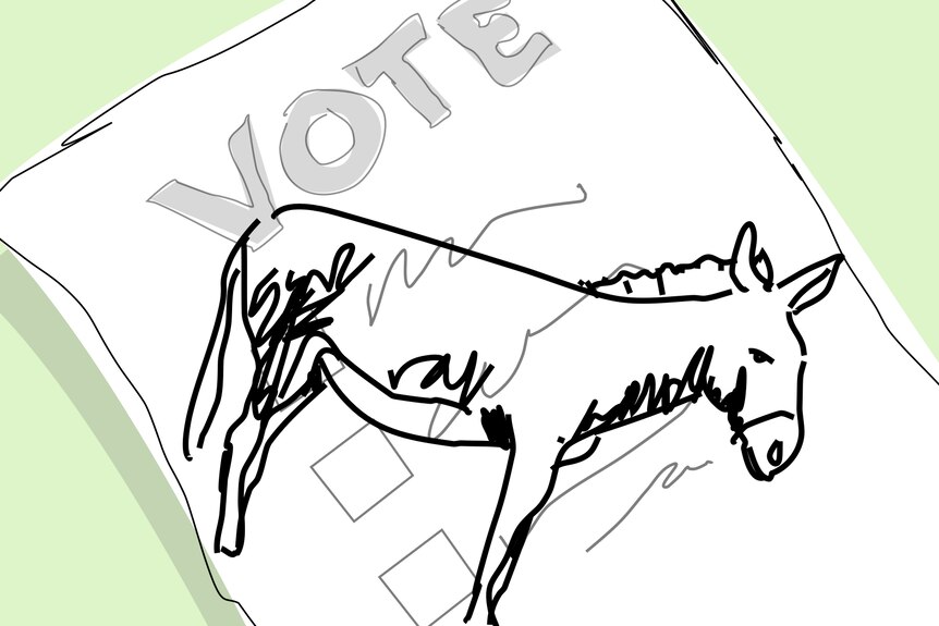 A graphic of a cartoon donkey drawn on a ballot paper.