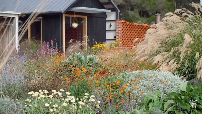 A garden filled with colourful perennial plants and grasses.
