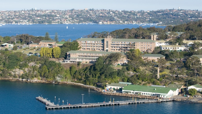 Ancient forest versus 'luxury housing': The $3bn fight over Defence assets