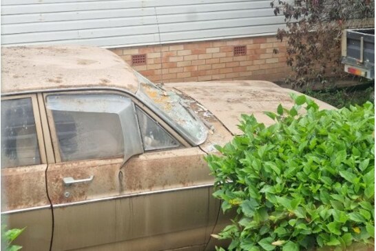 An old brown car parked near a tree