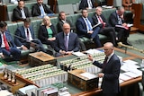 Anthony Albanese stands at the despatch box and looks toward the Speaker as Liberal Party MPs stare him down.