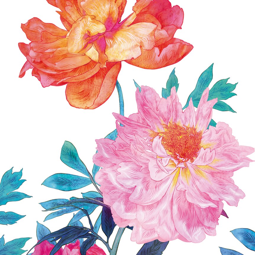 illustration of two flowers one orange with blue stem and one pale pink