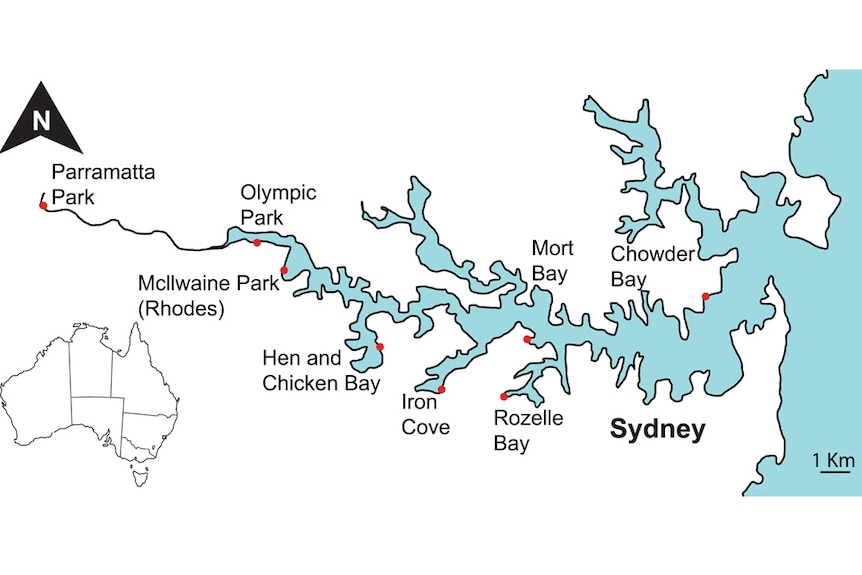 Map of sample collection where Vibrio bacteria was found by UTS researchers