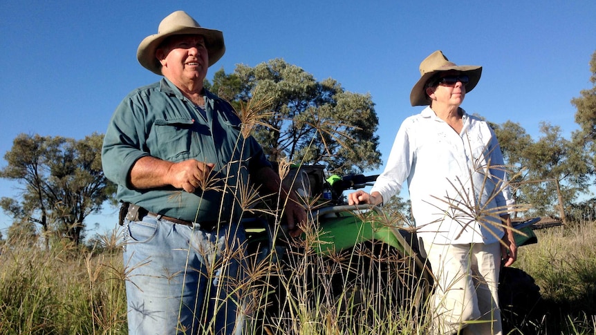 Bill and Lyn Dahlheimer on their Brahman cattle stud, Tangalooma, on the Condamine River at Brigalow.