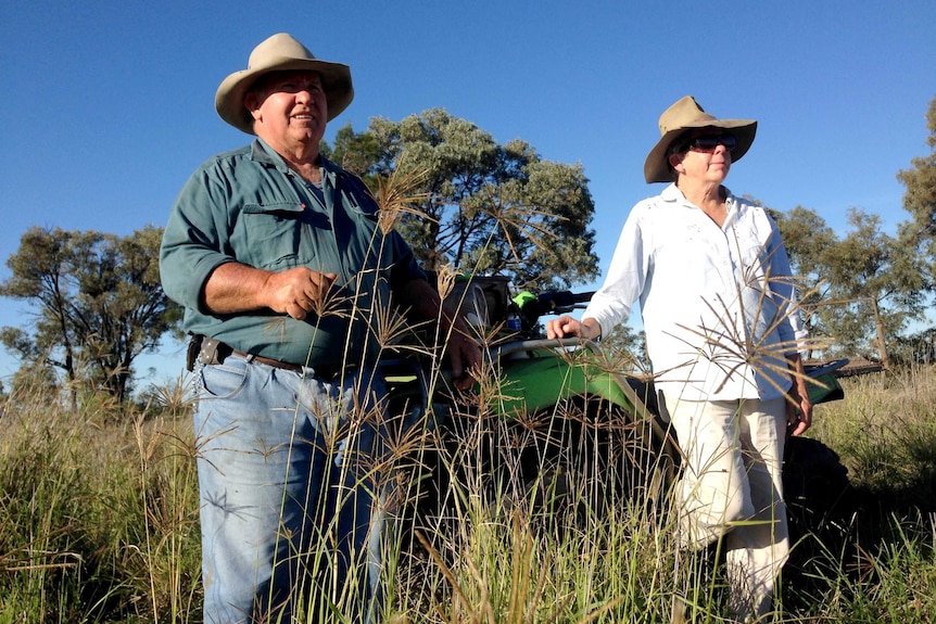 Bill and Lyn Dahlheimer on their Brahman cattle stud, Tangalooma, on the Condamine River at Brigalow.