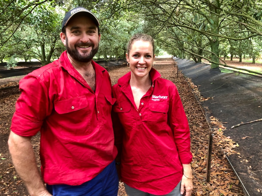 James and Aimee Thomas grow macadamias at Falkirk farm at Lower Wonga