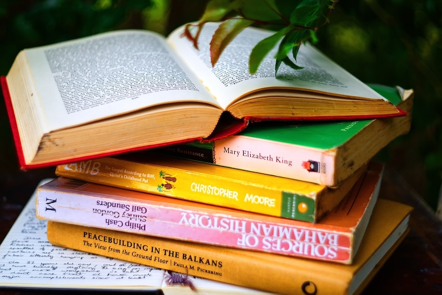 Six books are stacked onm top of each other underneath a plant.