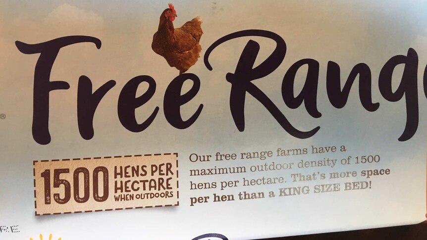 a close up picture shows a carton off eggs with '1500 birds per hectare' written on the side