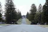 A wide shot of Broome Street in Cottesloe, facing north towards North Street with Norfolk pines lining the street