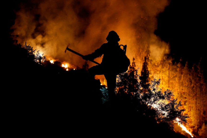 A firefighter works surrounded by bright orange flames and trees.