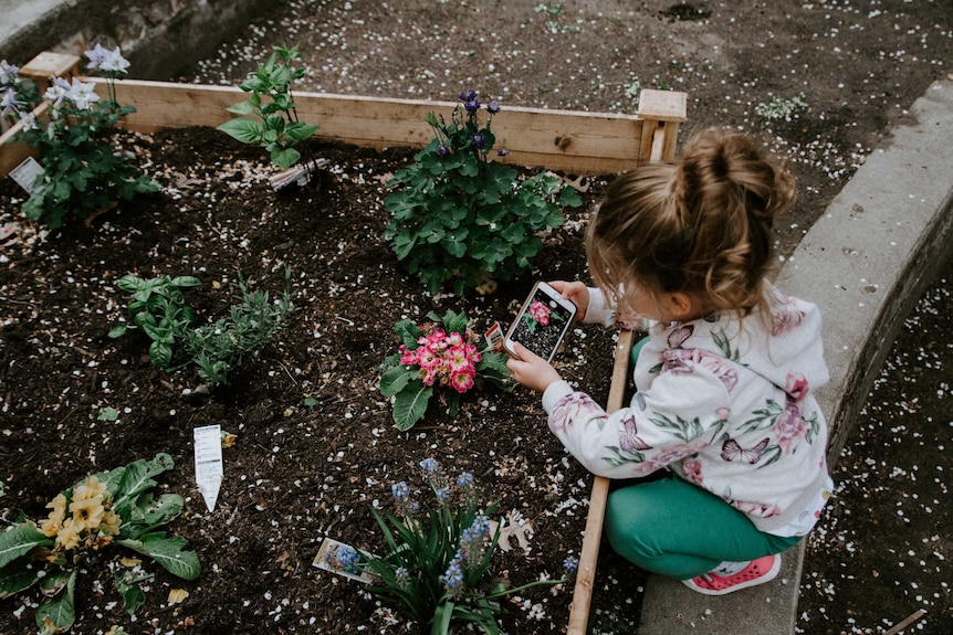 Young girl tends to garden