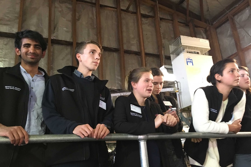 Six young people look at the technology inside an apple shed