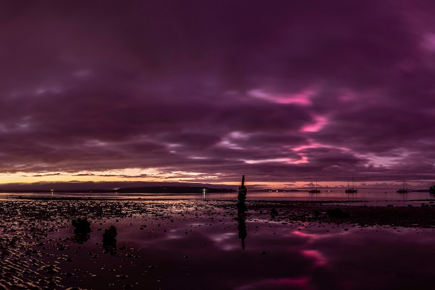 Purple and orange lights in the sky over a beach