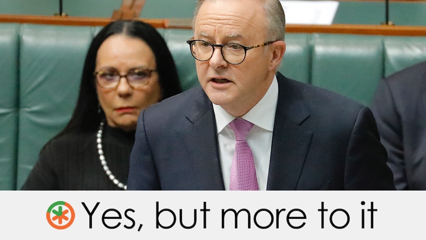 Anthony Albanese is talking in parliament wearing a grey suit and uurple tie. VERDICT: "Yes, but more to it"