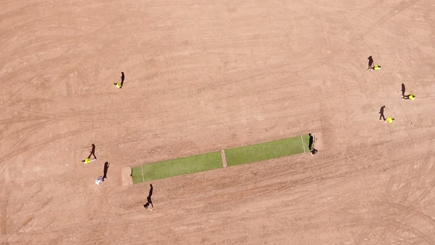 Brown dirt with a green cricket pitch