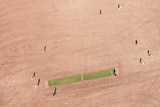 Brown dirt with a green cricket pitch