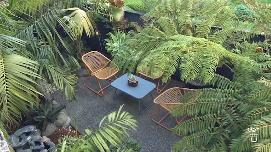 Tropical garden with table and chairs in amongst the ferns