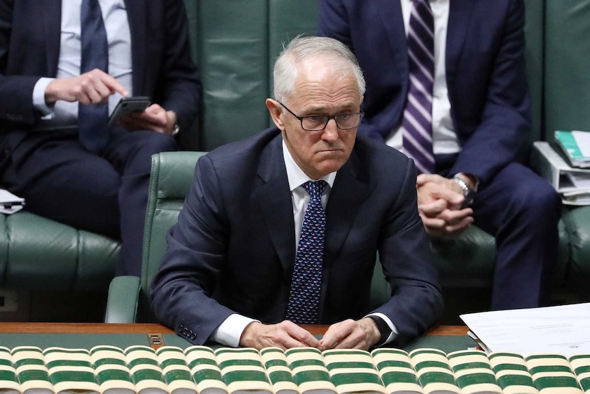 Malcolm Turnbull stares across the divide past Bill Shorten. His mouth is a straight line, his eyebrows raised.