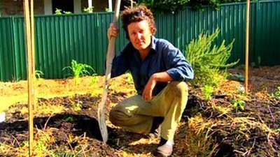 No-Dig Garden - Gardening Australia