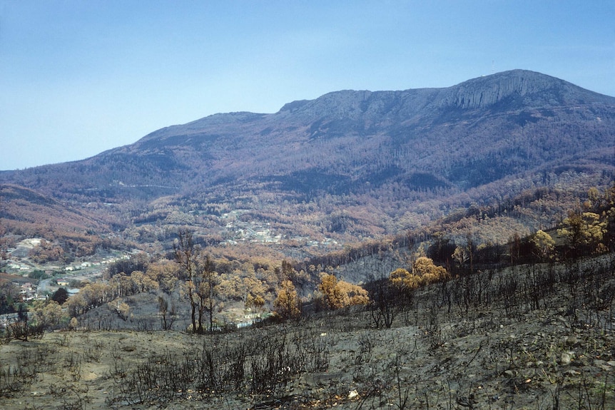 Mount Wellington and South Hobart after the 1967 bushfires.