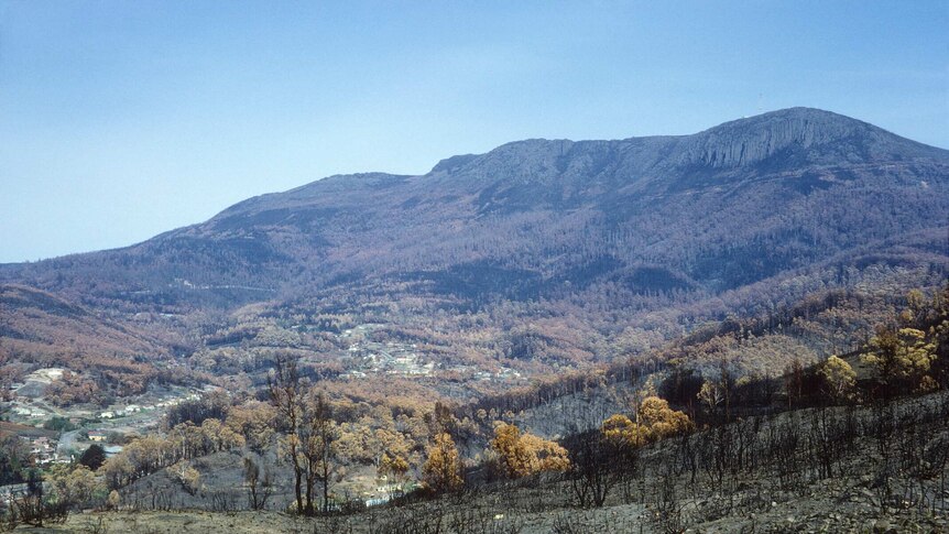 Mount Wellington and South Hobart after the 1967 bushfires.