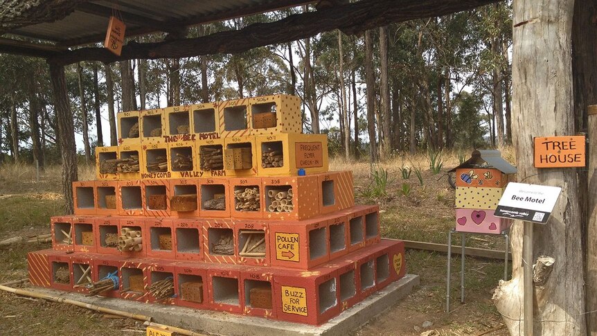 The bee motel at Honeycomb Valley Farm.