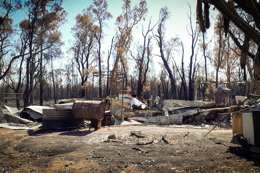 Sheets of tin and other rubble in burnt bushland.